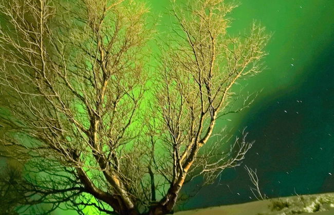 6 Person Holiday Home in Rebbenes - Photo 37