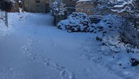 Genciana, Casa Rural con encanto en La Montaña Leonesa - Photo 4