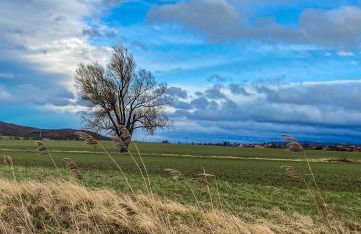 Ferienwohnung Santino - Foto 24