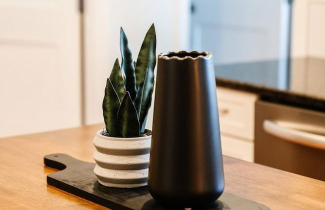 Dt Hot Tub Sauna Huge Yard - Photo 36