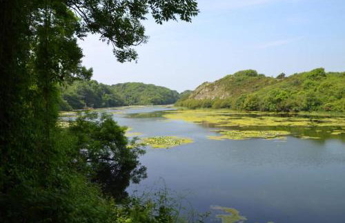 Hayloft Cottage - Foto 31