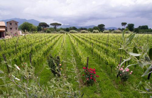 i Cacciagalli Wine Resort - Foto 2