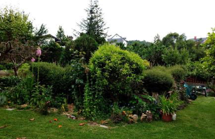 Hillside View - Foto 18