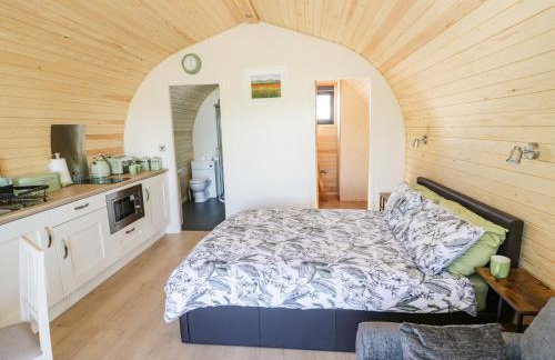 Ailsa Craig - Photo 10