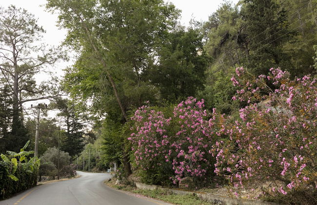 Gayb-i Bungalows by Naturelife , Plus 12 Years Old - Free Access to Beach - Foto 63