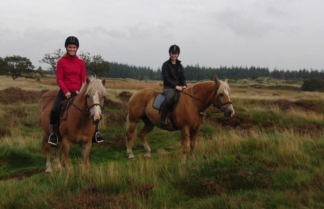 Ferienwohnung Tante Lise - Foto 34