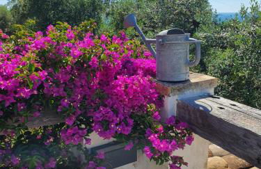 Agriturismo Mondomini - Foto 46