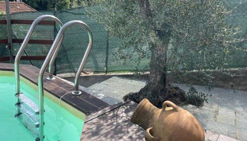 Baita Chalet del Colle - Foto 2, Garden, Garden view