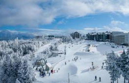 Stroll to Slopes, Village Area, Ski in-out MtLodge 269 - Foto 9