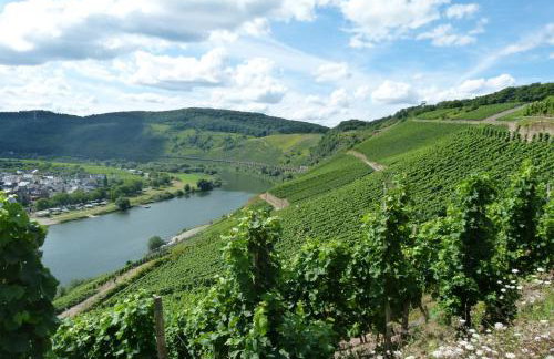 Ferienwohnung Weber - Foto 12