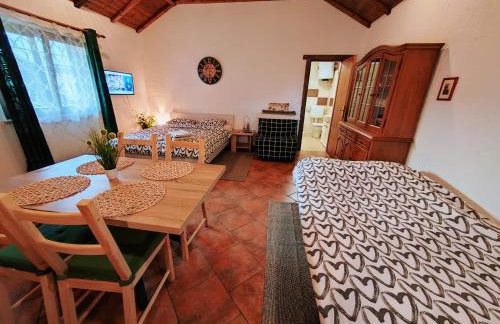 Studio apartman Buteo - Photo 15