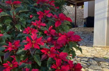 Apollo Romantic Sea View Villa - Photo 52