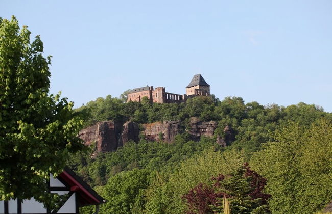 Bos en Kasteel - Foto 18