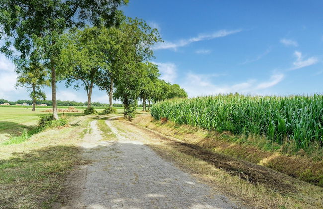Farmhouse in Staphorst With Sauna - Photo 38