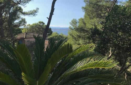 Aqui siem ben - Photo 10