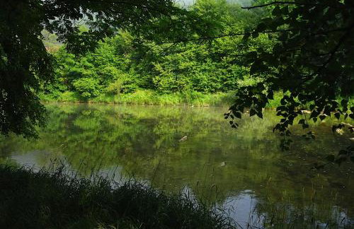 Karolówka Nad Osławą - Foto 19