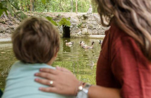Casa da Eira "Lavoura da Bouça - Fruta Bio" - Foto 69