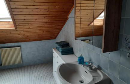 Wohnung am Rande der Nordeifel - Foto 9