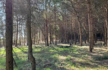 Pokój Przy Kominku - Foto 27