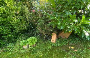 Altes Pastorenhus - Land und Meer - Foto 25