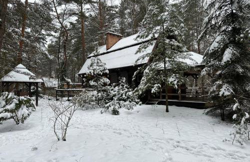Leśna Chata Arciechów - Foto 28