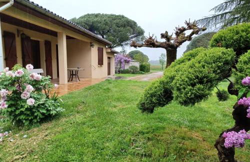 Les Mimosas - Foto 1