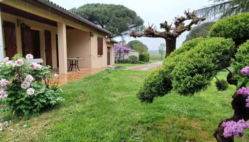 Les Mimosas - Foto 1