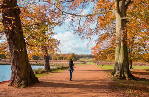 Surbiton Home with free parkings, Surbiton, Kingston upon Thames, Surrey, Greater London UK - Foto 80