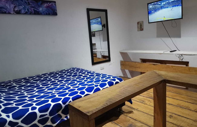 parrot house san antonio - Photo 5