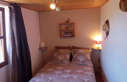 Le Chavannaclub - Foto 8