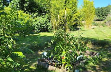 Etape à la campagne - Photo 8