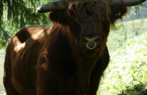Ferienwohnung Auszeit -Gipfhof- - Foto 26