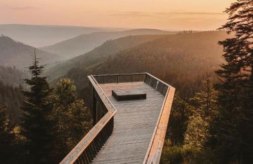 Black Forest Luxury Apartment Bärenhöhle mit Sauna - Foto 41