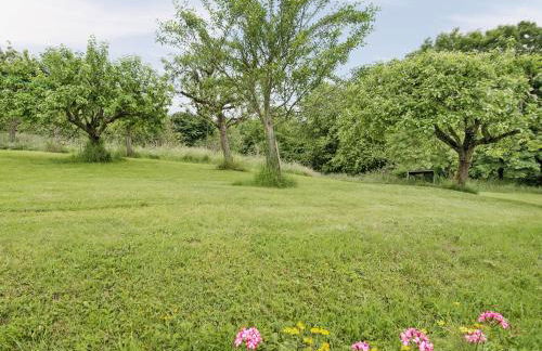 Little Orchard - Foto 16