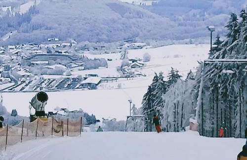 YALET Ferienhaus 2 appartementen vlakbij Willingen - Foto 41