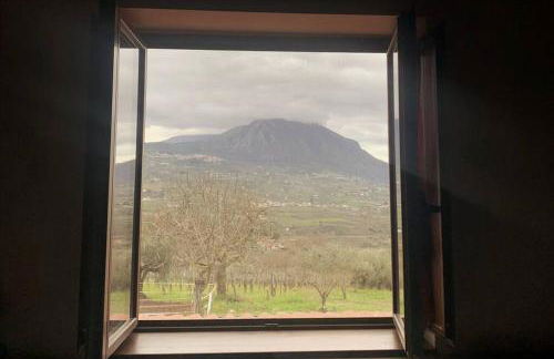 Relax in campagna - Foto 16