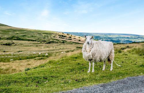 Preselli View Cottage - Uk37755 - Foto 28