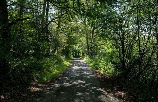 Architect's Gem in Stoumont - Foto 38