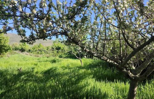 Tiny House en Piedrahita (Ávila) - Photo 12
