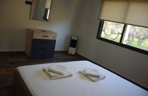 Blue Horizon - Foto 28