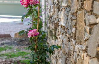 Anassa Mountain House - Foto 62