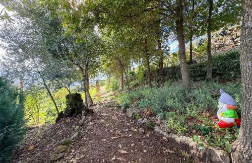 Bosque da Fantasia - Foto 66