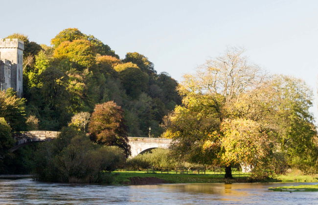 Visita guiada por Lismore - Foto 8