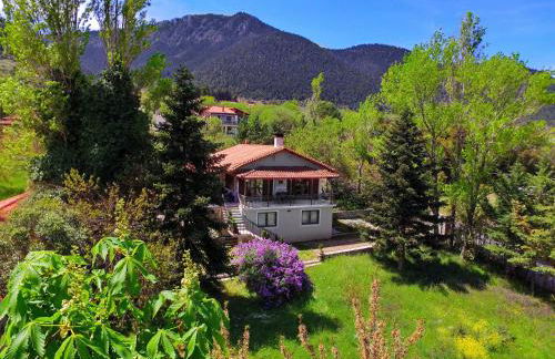 Villa Arcadia - Foto 8