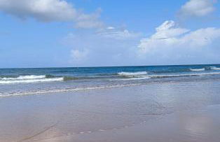 GITE A THEME D-DAY - situé à 15mn d'Omaha Beach - Animaux OK - Terrain clos - Aucuns voisins - WIFI - Foto 15