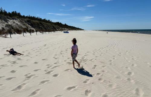 Apartament Sosnowy AKTENA Shellter Rogowo - Foto 28