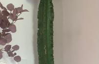 Casa Diego Bielefeld mit Garten - Photo 6