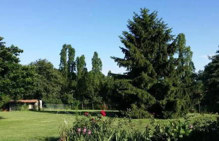 Maison confortable avec jacuzzi à Mareuil-sur-Cher - Photo 10