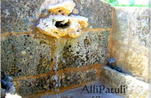 AlliPatuli Apartments - Foto 57