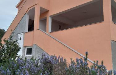 Apartman Golubinka - Molat - Photo 30